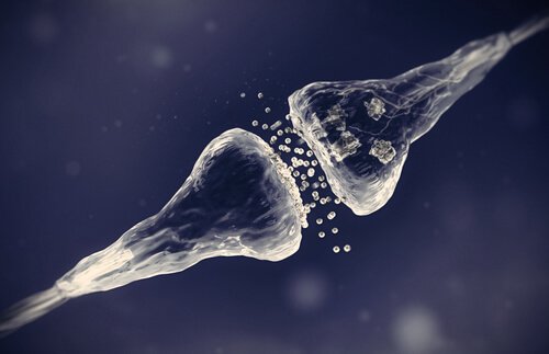 neurotransmisores